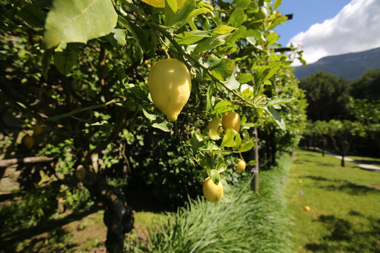 Villa Catie Castellammare di Stabia Ngoại thất bức ảnh